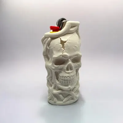 Image 4 : Photo du pack · cage briquet Bic Racines et Crâne
